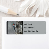 雪のダウンウッドペッカー – オリジナル写真 ラベル (インサイチュ)