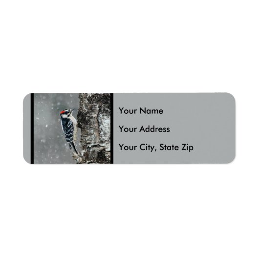 雪のダウンウッドペッカー – オリジナル写真 ラベル (正面)