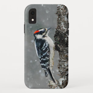 雪のダウンウッドペッカー – オリジナル写真 iPhone XRケース