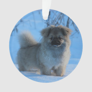 雪のチベットのスパニエル犬 オーナメント