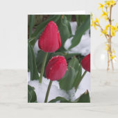 雪のチューリップ カード (黄色い花)
