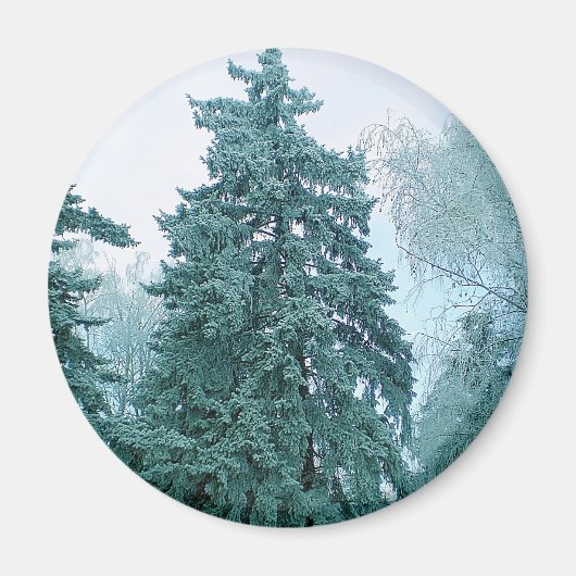 雪のトウヒの木 マグネット (正面)