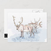 雪のトナカイプリント葉書 ポストカード (正面/裏面)