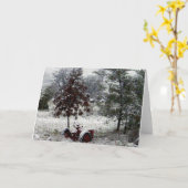 雪のトラクター カード (黄色い花)