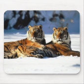 雪のトラ マウスパッド (正面)