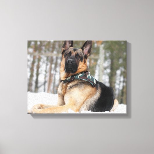 雪のドイツの羊飼い キャンバスプリント (正面)