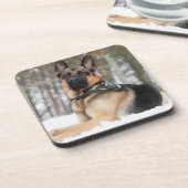 雪のドイツの羊飼い コースター (左側)