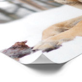 雪のドイツの羊飼い ポスター (角)