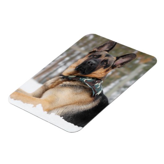 雪のドイツの羊飼い マグネット (左側)