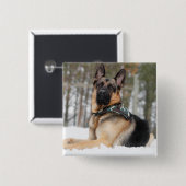 雪のドイツの羊飼い 缶バッジ (正面&裏面)