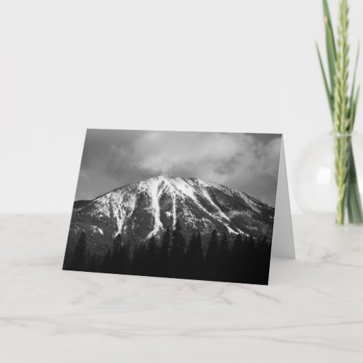 雪のバッファローのこぶ カード (正面)