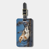 雪のバンティングの輪郭 ラゲッジタグ (正面縦)