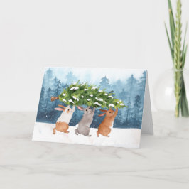 雪のバンニー水の色のクリスマス カード