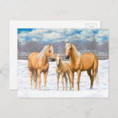 雪のパロミノ四分の馬 ポストカード (正面/裏面)