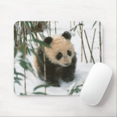 雪のパンダの子牛、臥龍、四川省、中国 マウスパッド (マウス)