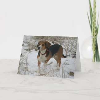 雪のビーグル犬の冬の挨拶状-狩りの猟犬 シーズンカード