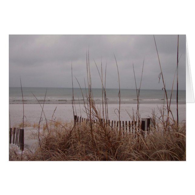 雪のビーチ (正面横)