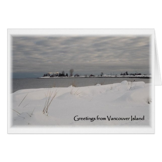 雪のビーチ (正面横)