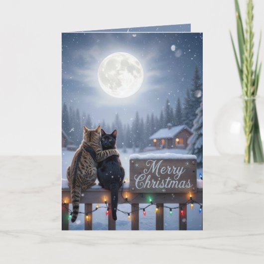 雪のフェンスで抱き合うクリスマスの猫たち カード (正面)
