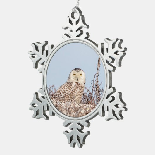 雪のフクロウがビーチ スノーフレークピューターオーナメント (右)