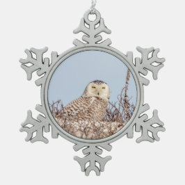 雪のフクロウがビーチ スノーフレークピューターオーナメント