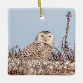 雪のフクロウがビーチ セラミックオーナメント