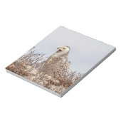 雪のフクロウがビーチ ノートパッド (回転)