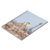 雪のフクロウがビーチ ノートブック (左側)