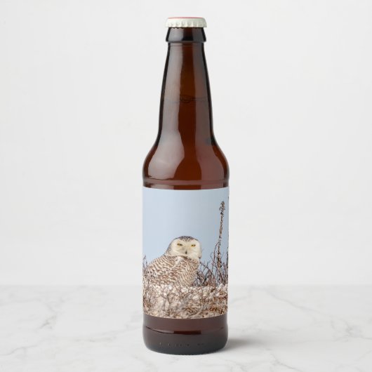 雪のフクロウがビーチ ビールラベル (正面)
