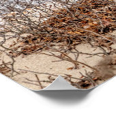 雪のフクロウがビーチ ポスター (角)