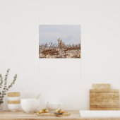 雪のフクロウがビーチ ポスター (キッチン)