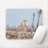 雪のフクロウがビーチ マウスパッド (マウス)