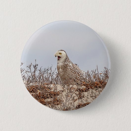 雪のフクロウがビーチ 缶バッジ (正面)