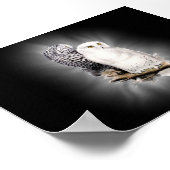 雪のフクロウのポスター ポスター (角)