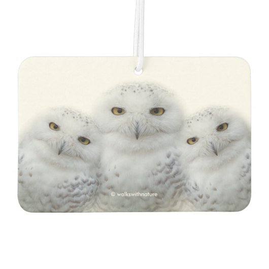 雪のフクロウの夢のような知恵 カーエアーフレッシュナー (裏面)