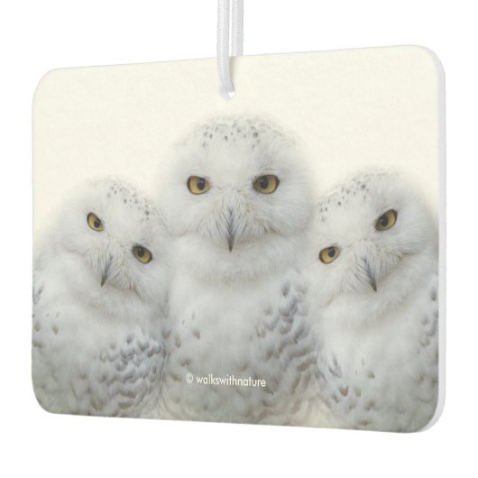 雪のフクロウの夢のような知恵 カーエアーフレッシュナー (左)