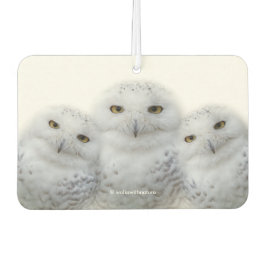 雪のフクロウの夢のような知恵 カーエアーフレッシュナー