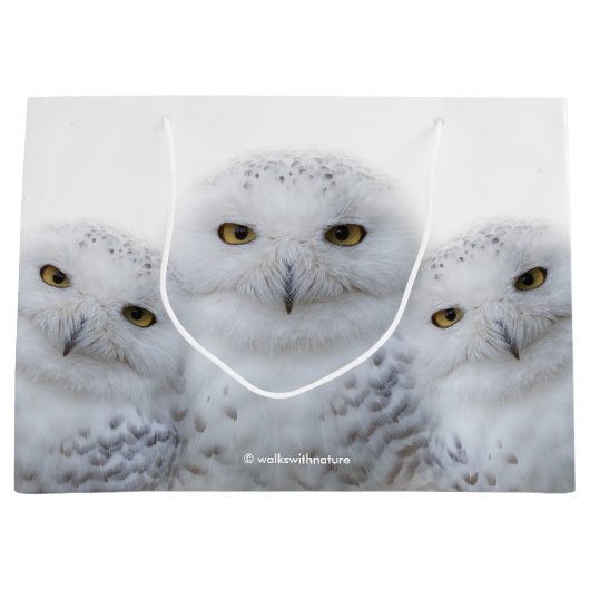 雪のフクロウの夢のような知恵 ラージペーパーバッグ (正面)