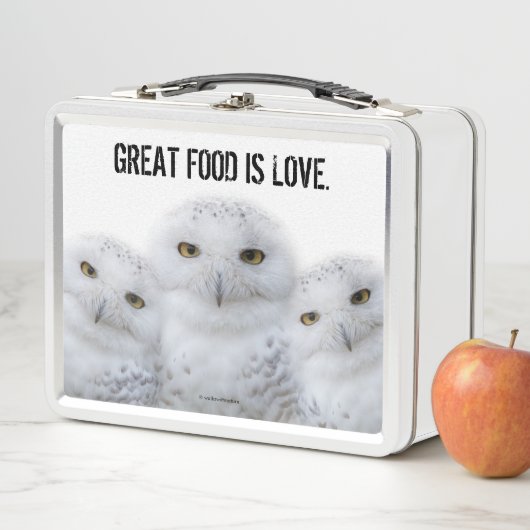 雪のフクロウ一家の夢のような知恵 メタルランチボックス (インサイチュ)