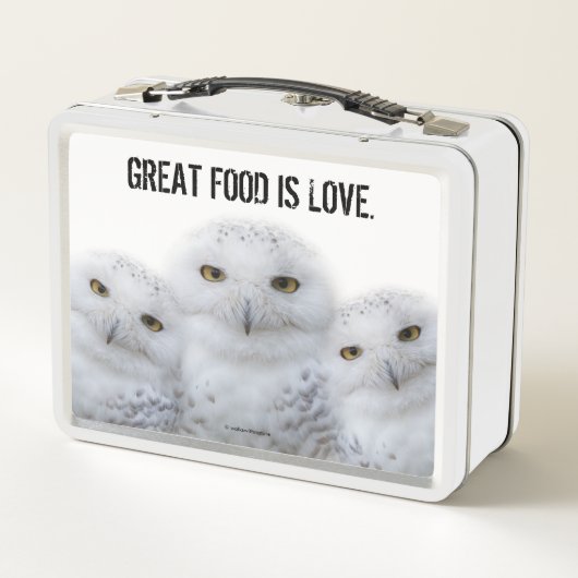 雪のフクロウ一家の夢のような知恵 メタルランチボックス (裏面)