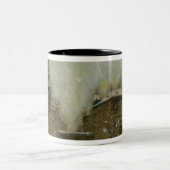 雪のブダペスト ツートーンマグカップ (中央)