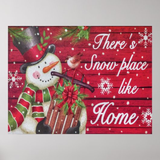 雪のプレイスライクホーム ポスター (正面)