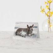 雪のベビーのロバ カード (黄色い花)