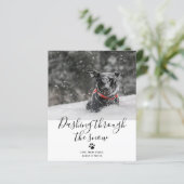 雪のペットの犬のクリスマスを駆け抜ける (スタンド正面)