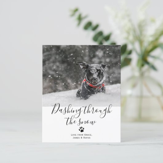 雪のペットの犬のクリスマスを駆け抜ける (スタンド正面)