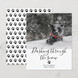 雪のペットの犬のクリスマスを駆け抜ける