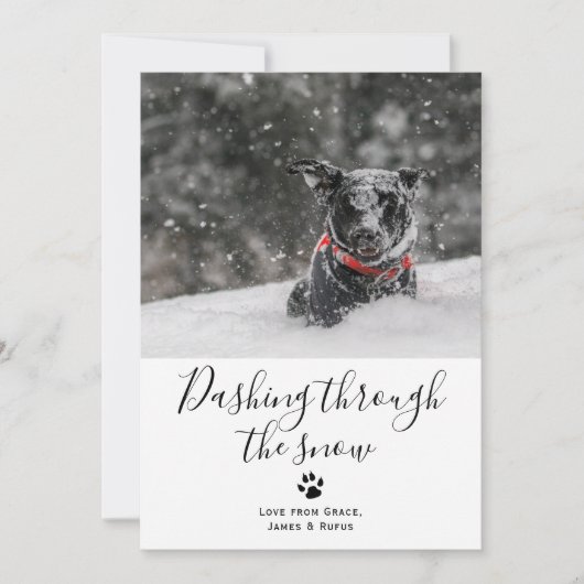 雪のペット犬のクリスマスカードをダッシュイン 招待状 (正面)