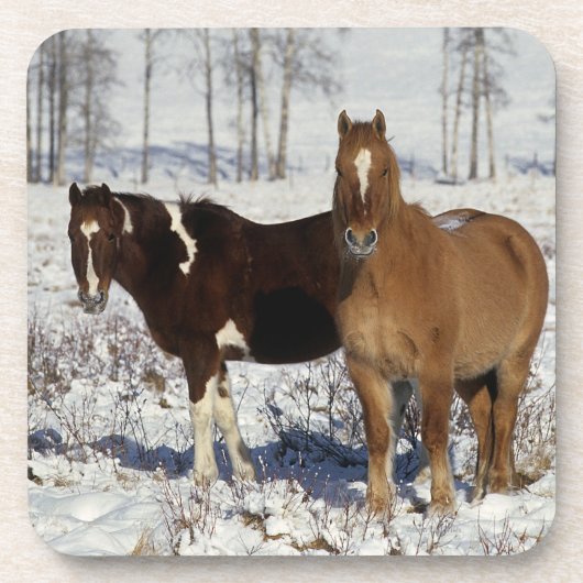 雪のペンキの馬 コースター (正面)