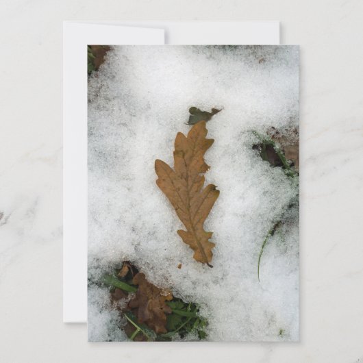 雪のホリデーカードに横たわるオークの葉 シーズンカード (正面)