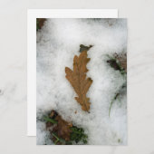 雪のホリデーカードに横たわるオークの葉 シーズンカード (正面/裏面)